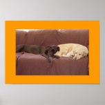 My Girls posters