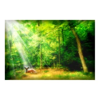 My Glory print