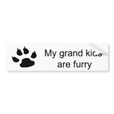 My Grand Kids Are Furry (Dog Paw) Bumper Sticker bumpersticker