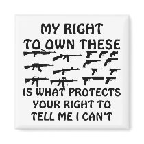 My Gun Rights Protect Your 1st Amendment Rights Magnets