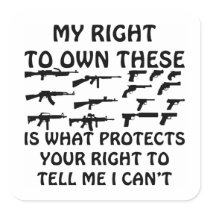 My Gun Rights Protect Your 1st Amendment Rights Sticker