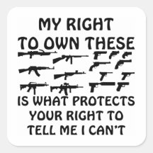 My Gun Rights Protect Your 1st Amendment Rights Sticker