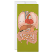 My Guts, Digestive Organs rack cards by HalloweenSpirit My Guts, Digestive Organs rack cards