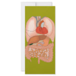 My Guts, Digestive Organs Custom Rack Card
