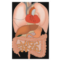 My Guts, Digestive Organs Stationery