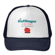 My Haflinger is All That! Funny Horse