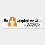My hamster adopted me bumper sticker