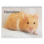 My Hamster Calendar