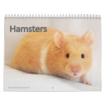 My Hamster Calendar