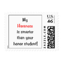 My Havanese is smarter... Postage Stamp