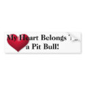 My heart belongs to a Pit Bull Bumper Sticker bumper stickers