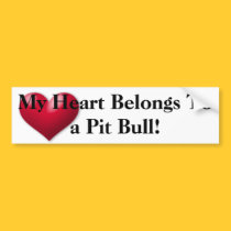 My heart belongs to a Pit Bull Bumper Sticker bumper stickers