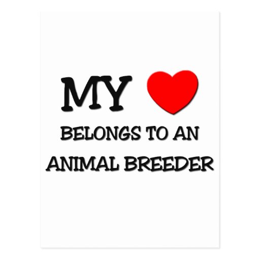 My Heart Belongs To An ANIMAL BREEDER Post Card