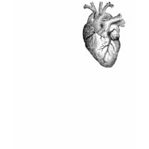 My Heart (black outline) t-shirts