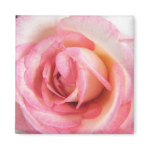 My Heart Is That Eternal Rose magnets