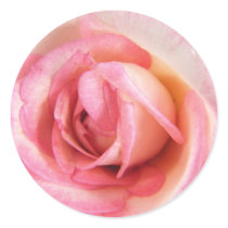 My Heart Is That Eternal Rose stickers