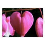 my heart to yours cards