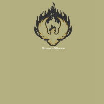 My Hoodbird for the ladies t-shirts