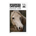 My horse face postage