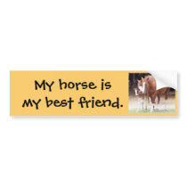My horse is my best friend sticker bumper stickers