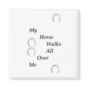 My Horse Walks All Over Me magnets by KheestoneImages My Horse Walks All Over Me magnets