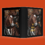 binder, binders, record, organizer, art, horses,