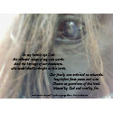 My Horse's Eye 11x8.25 matte print uv print