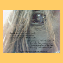 My Horse's Eye 11x8.25 matte print uv