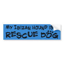 My Ibizan Hound is a Rescue Dog Bumper Sticker bumper stickers by MenagerieMayhem My Ibizan Hound is a Rescue Dog Bumper Sticker bumper stickers