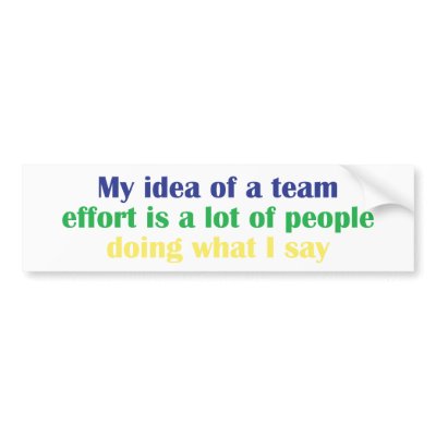 My Idea of a Team Effort... Bumper Sticker