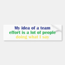 My Idea of a Team Effort... Bumper Sticker