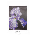 My Iris posters by CrookedRiverArt My Iris posters