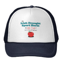My Irish Draught Sport Horse is All That!
