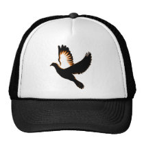 My Journey_ Hats