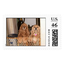 My_Kids postage