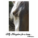My Kingdom for a horse..., W Shakespeare t-shirts