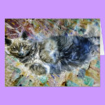 MY KITTY - Card cards