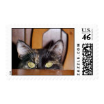 My Kitty Cat Postage Stamp