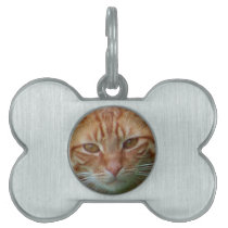 My Kitty_ Pet Name Tags
