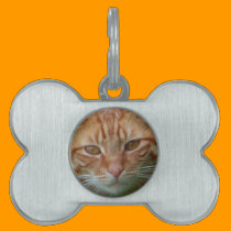 My Kitty_ pet tags
