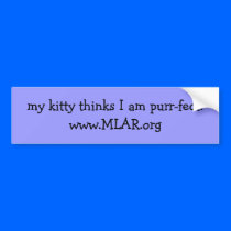 my kitty thinks I am purr-fect! bumper stickers