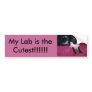My Lab is the Cutest!!!!!! Bumper Sticker