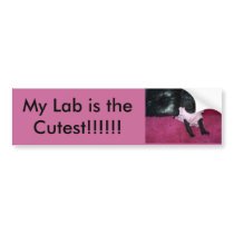 My Lab is the Cutest!!!!!! bumper stickers