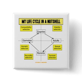 My Life Cycle In A Nutshell (Biological Attitude) button