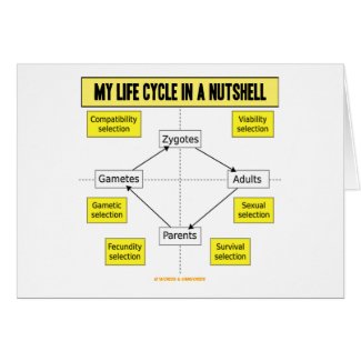 My Life Cycle In A Nutshell (Biological Attitude) card