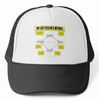 My Life Cycle In A Nutshell (Biological Attitude) hat