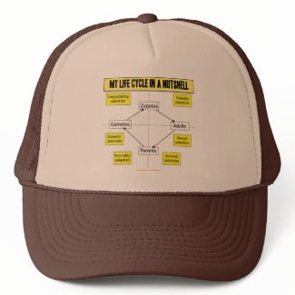 My Life Cycle In A Nutshell (Biological Attitude) hat