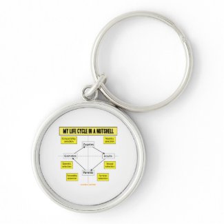 My Life Cycle In A Nutshell (Biological Attitude) keychain