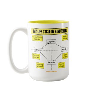 My Life Cycle In A Nutshell (Biological Attitude) mug