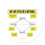 My Life Cycle In A Nutshell (Biological Attitude) Round Sticker